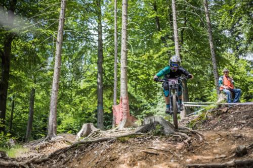 28034425777 660fec4c01 o