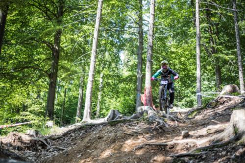 28034578507 e73ddc5bca o