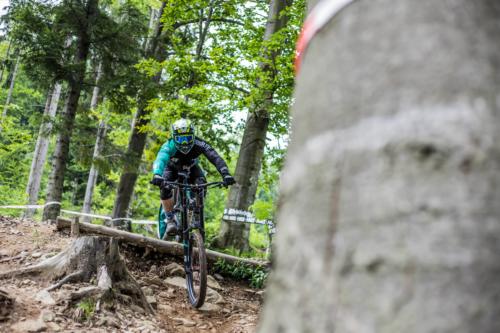 29031130718 968cb65556 o