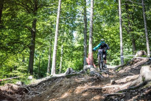 41092912920 50c547f82d o