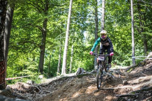 41092917180 b260d33731 o