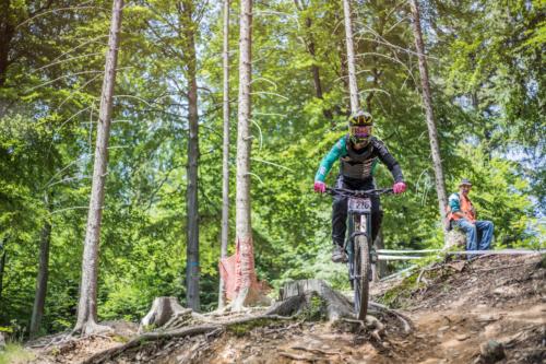 42002481875 a4afce1328 o