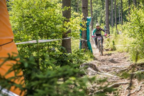 42184520054 40b92fa94c o