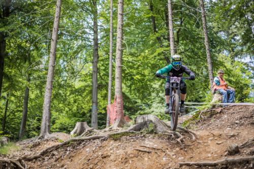 42184787034 d8cf0a7981 o