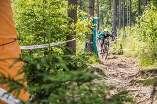 42902723901 963bf29ffa o